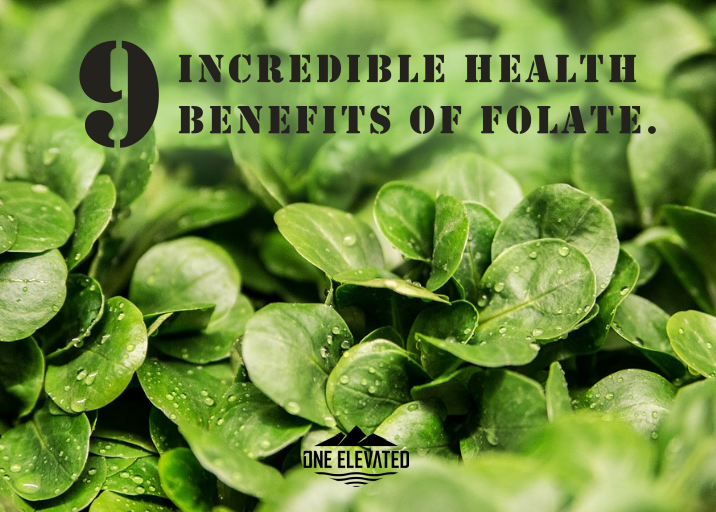9 Incredible Health Benefits of Folate